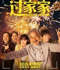 过家家            (2026)