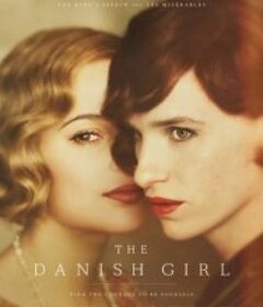 丹麦女孩 The Danish Girl            (2015)
