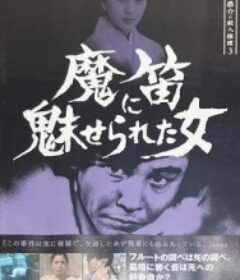 侦探・神津恭介的杀人推理系列3  被魔笛魅惑的女人 探偵神津恭介の殺人推理3~魔笛に魅せられた女~            (1985)