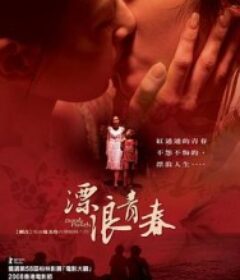 漂浪青春            (2008)