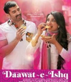 爱的盛宴 Daawat-E-Ishq            (2014)