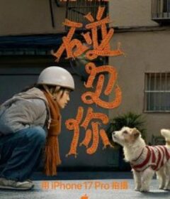 碰见你            (2026)