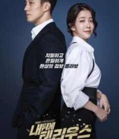 我背后的陶斯 내 뒤에 테리우스            (2018)