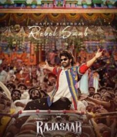 鬼魅情缘 The Raja Saab            (2025)