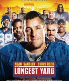 最长的一码 The Longest Yard            (2005)