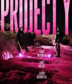 Y计划 프로젝트 Y            (2025)