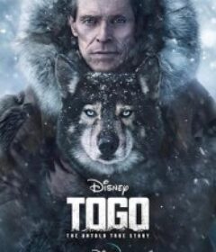 多哥 Togo            (2019)