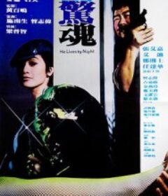 夜惊魂            (1982)