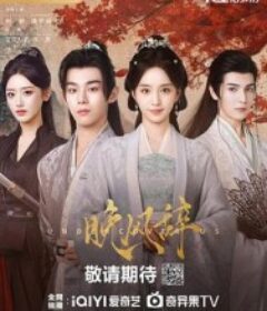 晚风辞            (2026)