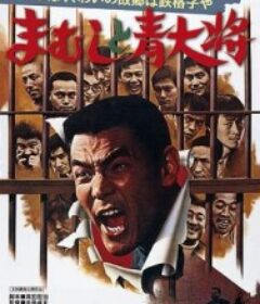 毒蛇与锦蛇 まむしと青大将            (1975)