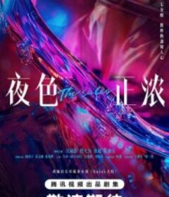 夜色正浓            (2026)