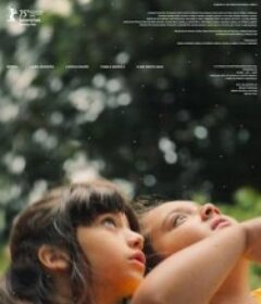 无形的本质 A natureza das coisas invisíveis            (2025)