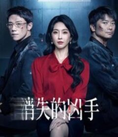 消失的凶手            (2026)