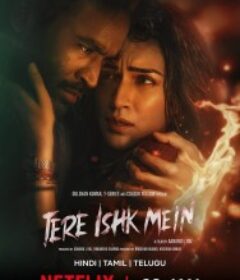 在你的爱情里 Tere Ishk Mein            (2025)