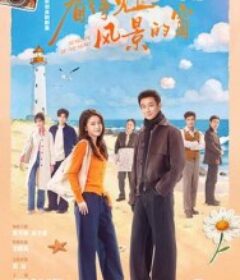 看得见风景的窗            (2026)