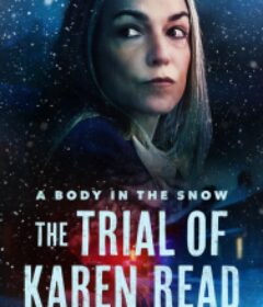 被告：凯伦·里德案 Accused: The Karen Read Story            (2026)
