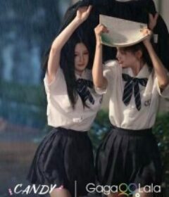 糖果            (2026)