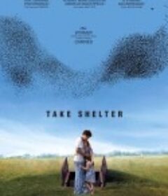 存身 Take Shelter            (2011)