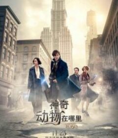 神奇动物在哪里 Fantastic Beasts and Where to Find Them            (2016)
