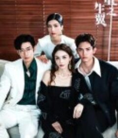 重生之翼            (2024)