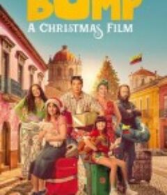 不期而淤：圣诞大电影 Bump: A Christmas Film            (2025)