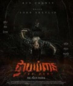 灵异流量 The Pray            (2024)