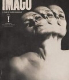 意象 Imago            (2023)
