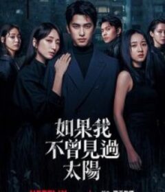 如果我不曾见过太阳 第二季 如果我不曾見過太陽 第二季            (2025)