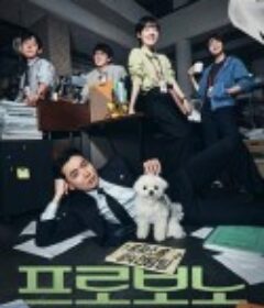 公益律师 프로보노            (2025)