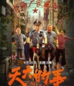 天大的事            (2025)