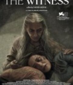 证人 The Witness            (2024)