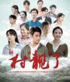 村“靓”了            (2025)