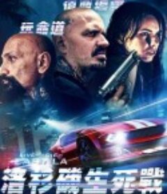 洛杉矶生死战 Maze of Fate            (2024)