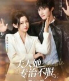 夫人她专治不服            (2025)