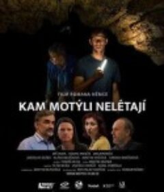 蝴蝶不飞的地方 Kam motýli nelétají            (2022)