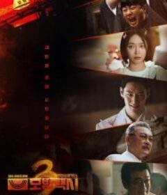 模范出租车3 모범택시 시즌3            (2025)