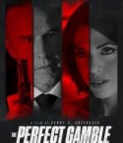 完美赌局 The Perfect Gamble            (2025)