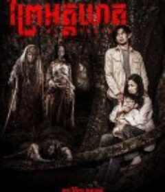 血色森林 The Forest            (2024)