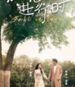 热恋进行时            (2024)