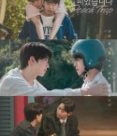 桃花开好了 복숭아 꽃이 피었습니다.            (2025)