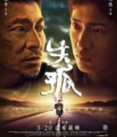 失孤            (2015)