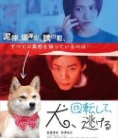 狗转了一圈 逃跑了 犬、回転して、逃げる            (2023)