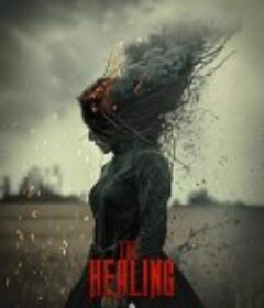 痊愈 The Healing            (2024)