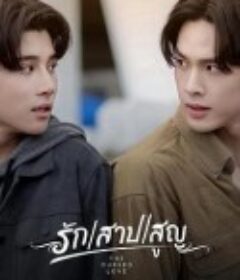 诅咒之爱 รัก สาป สูญ            (2025)