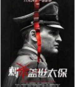 刺杀盖世太保 HHhH            (2017)