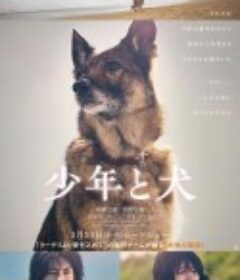 少年与犬 少年と犬            (2025)