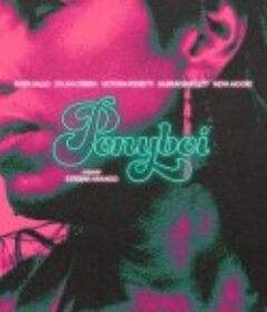 赤子少年 Ponyboi            (2024)