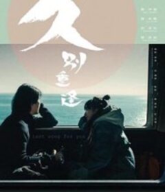 久别·重逢 久别重逢            (2024)