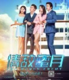 情敌蜜月            (2015)