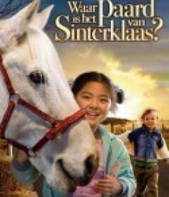 小马伴侣 Waar is het paard van Sinterklaas?            (2007)